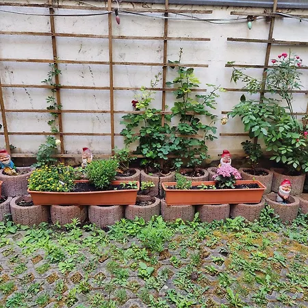 Apartamento Alte Stadtmauer